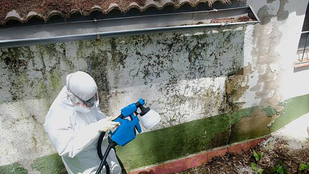 Mold Remediation service in Ashland, Ashland, PA